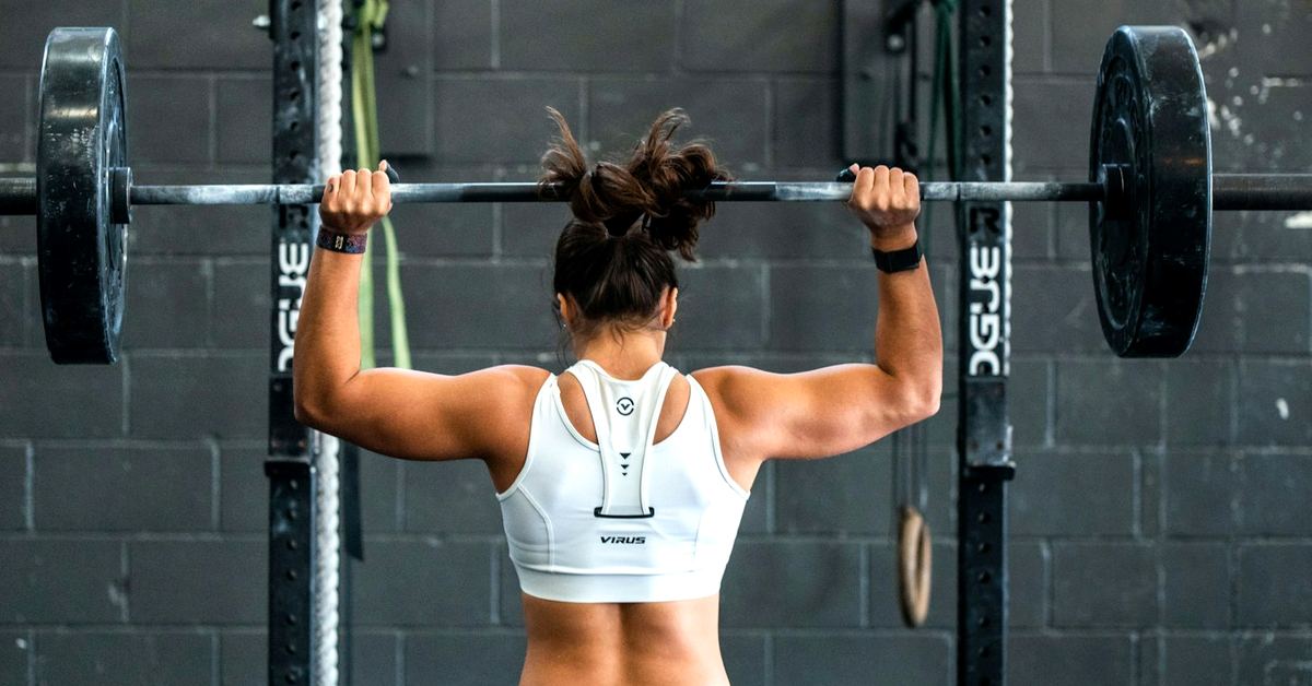 Wolf Fit Zone